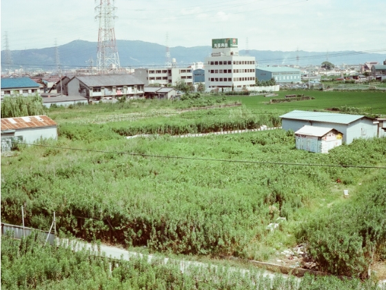 昭和54年:光亜グループ沿革