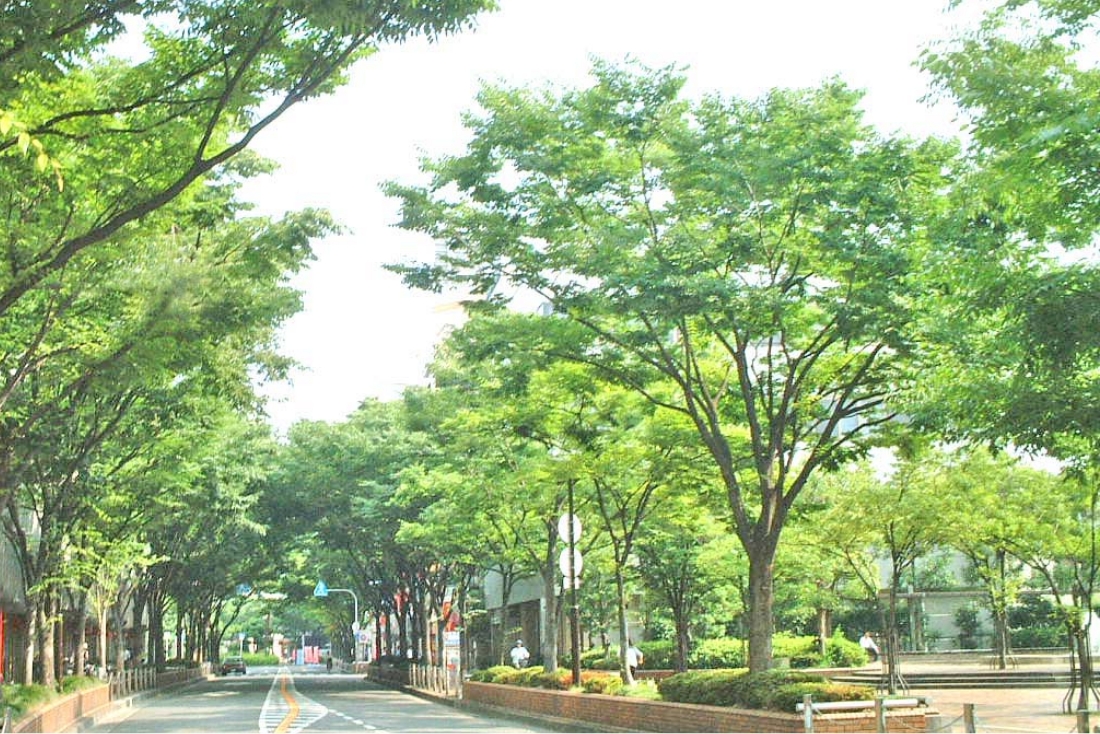 新市街地の形成