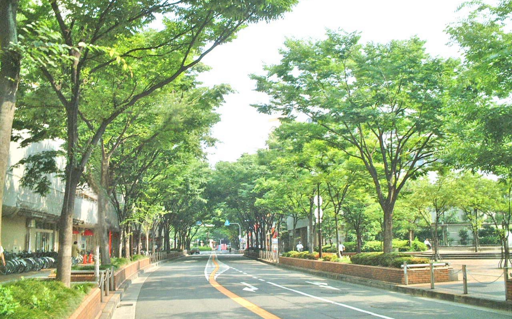 新市街地の形成