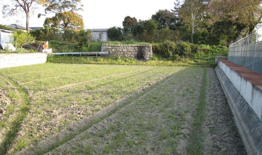 プロジェクト実施前